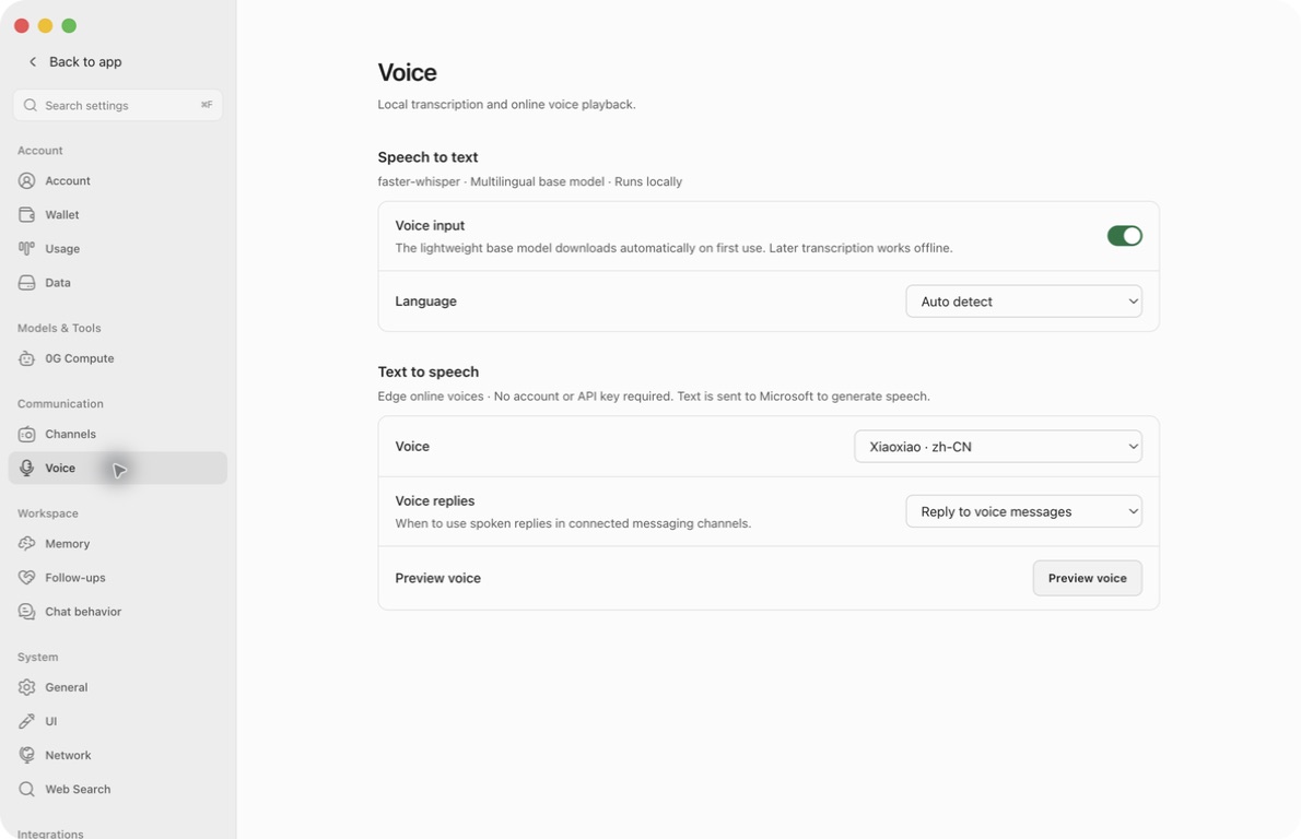 Actual English Voice settings with input on, Auto detect, the loaded Xiaoxiao voice and Reply to voice messages